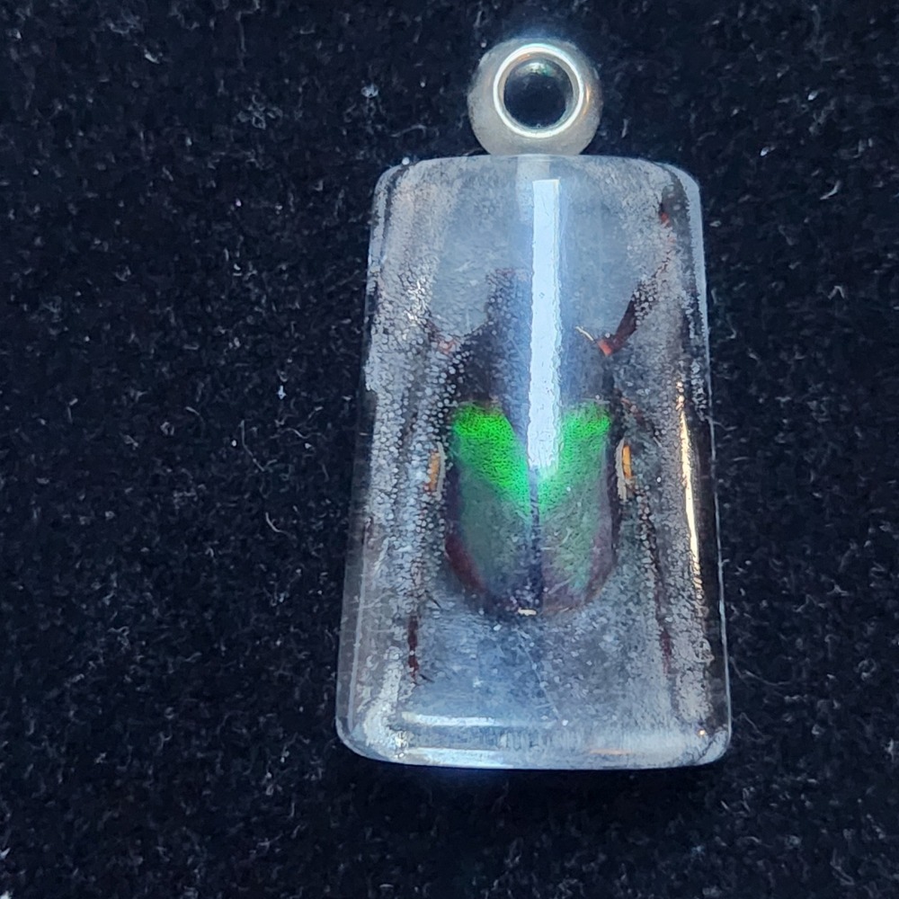 Real Green Beetle‎ Specimen Resin Pendant Taxidermy Insect Jewelry